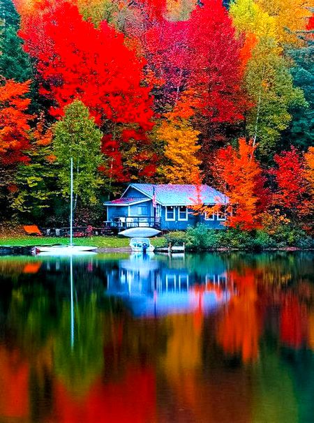 Beautiful Nature image