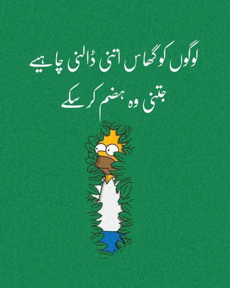 Memes & Satire image