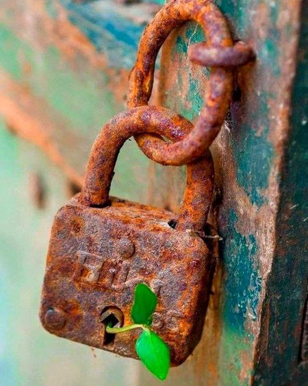 شہر کا جِن ایک کنبہ اور اُٹھا کر لے گیا
.... 
گاؤں کے اِک اور دَروازے پہ تالا پَڑ گیا