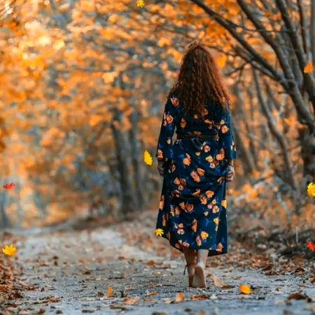 Beautiful Nature image
