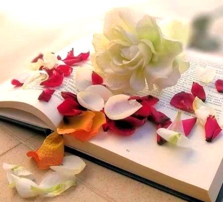 Beautiful Nature image