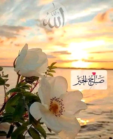 اسلام وعلیکم
صبح بخیر