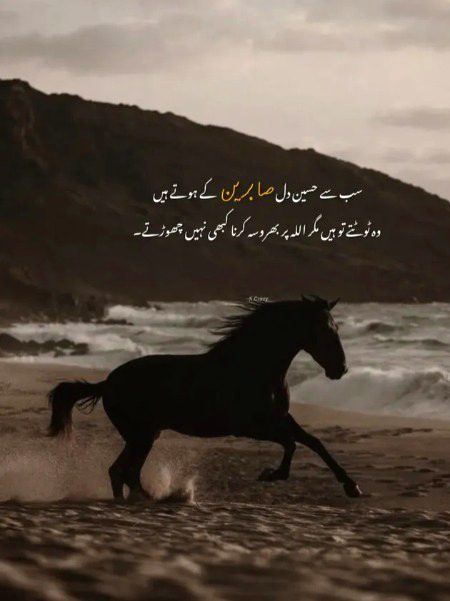 Motivational Quotes image