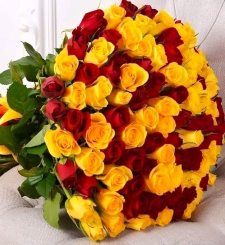 🤡🤡🤡🤓🤓🤓🤓🤡🤡🤡 WAOOO BEAUTIFUL
