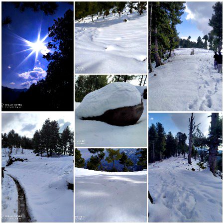 ❄️🏔️☃️🥀🤍.....