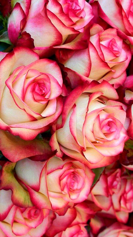 Beautiful Nature image