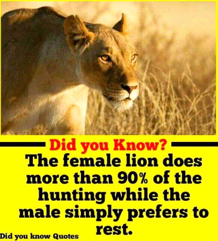 Interesting Posts image