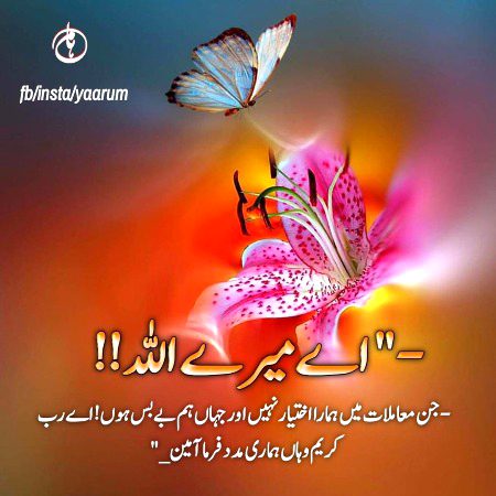 Islamic Quotes image