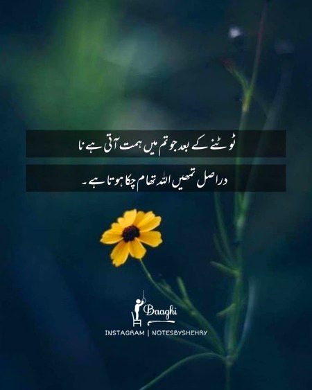 Motivational Quotes image