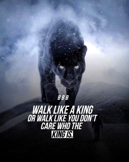 Life Advice image