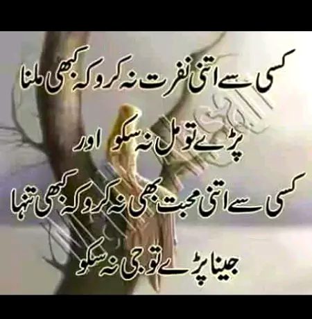 .q3🌷🌷  
How🌷🌷🌹 r🌻🌷 u🌷🌷 all..🌸🏵