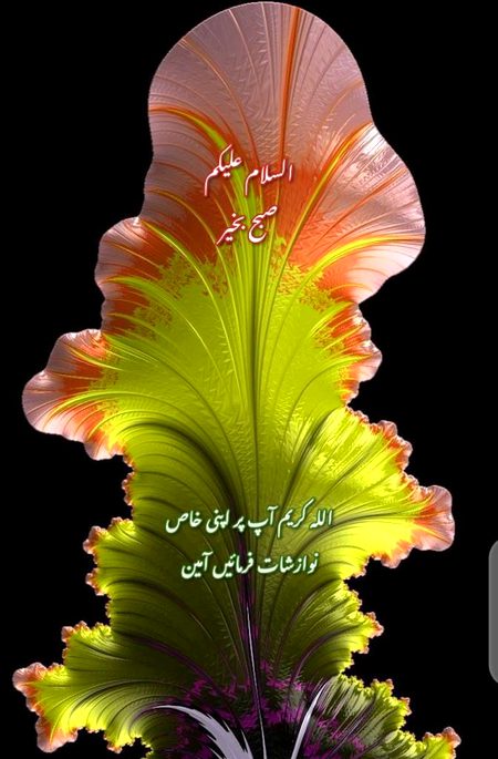 Assalam o Alaikum