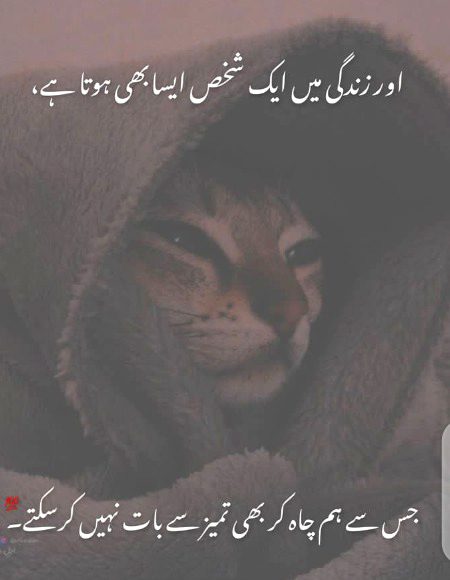 Attitude Quotes image