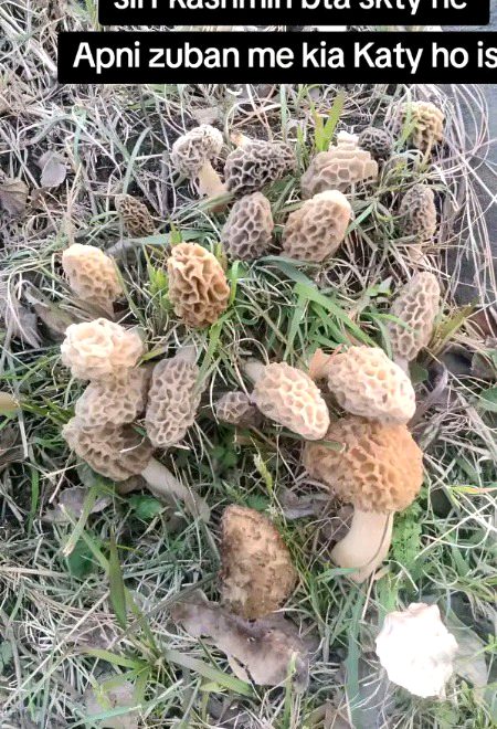 Beautiful Nature image