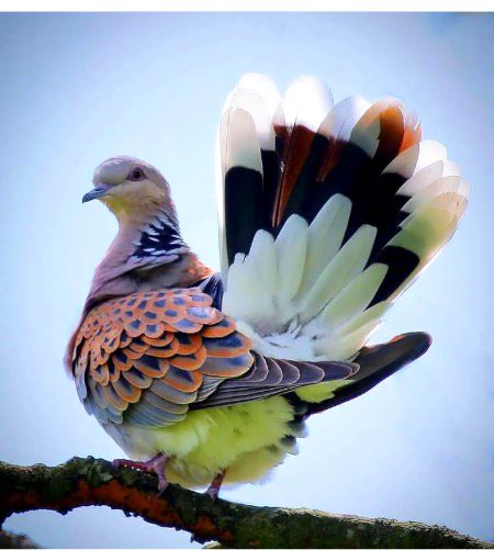 Beautiful Nature image