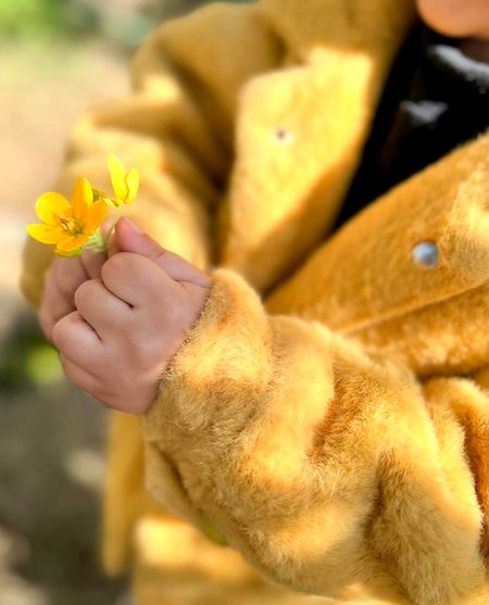 Fol my fali shishtal💜🤍