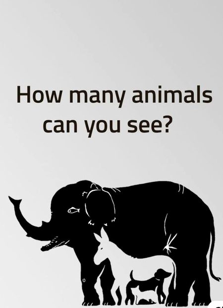 Riddles & Puzzles image