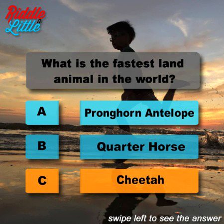 Knowledge Test image