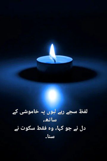 گفتگو میں وہ تاثیر کہاں،
جو ایک خالی نگاہ میں چھپی تھی۔