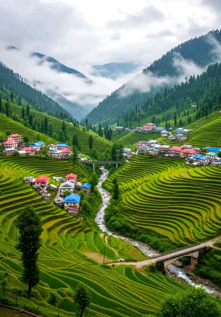 Beautiful Nature image