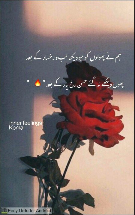 Romantic Poetry image