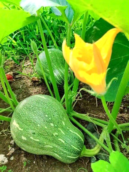 Beautiful Nature image