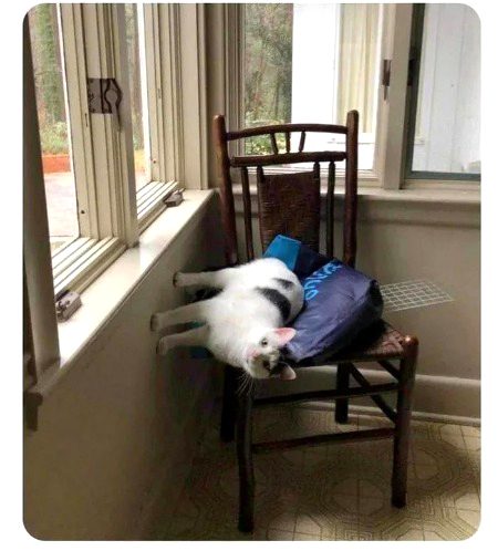 Beautiful Nature image