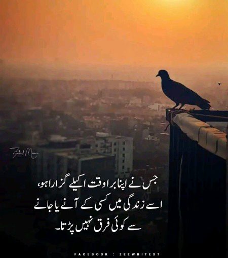 Attitude Quotes image