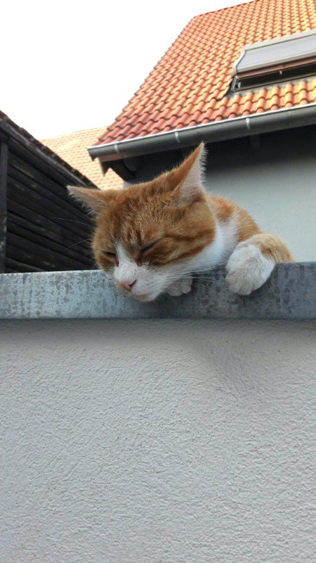 Beautiful Nature image