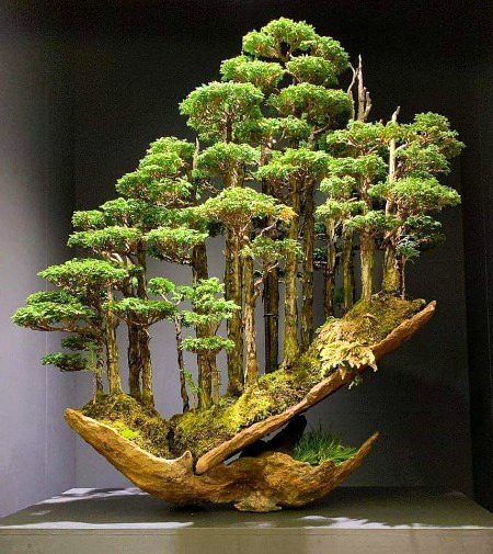 Digital Art image