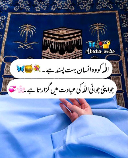 Islamic Quotes image