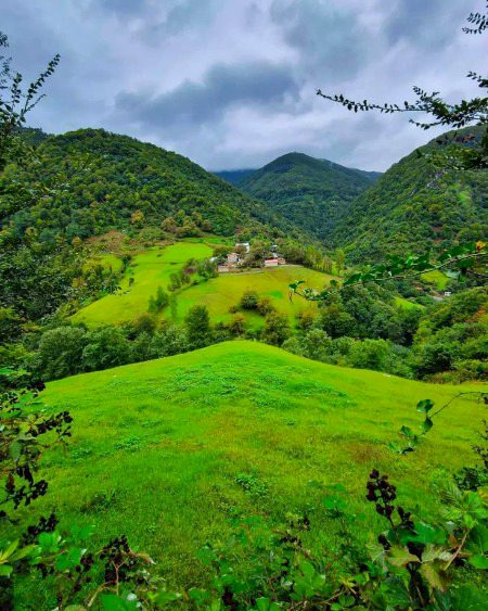 Beautiful Nature image