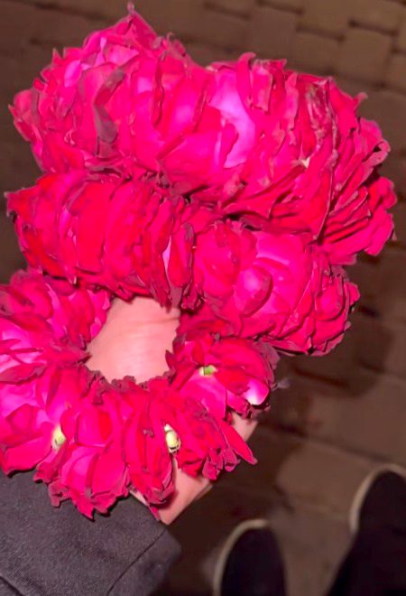 Beautiful Nature image