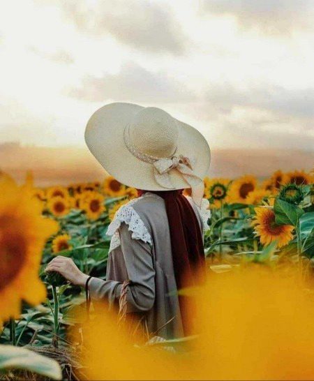 Beautiful Nature image