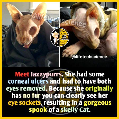 Interesting Posts image