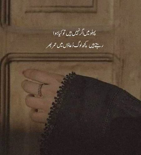 Assalam o alaikum have a nice day