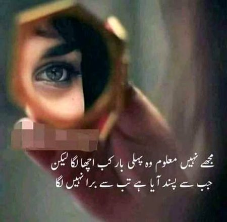 ہم تو موجود تھے راتوں میں اجالوں کی طرح
🔥
تم نے ڈھونڈا ہی نہیں ڈھونڈنے والوں کی طرح
Mushk