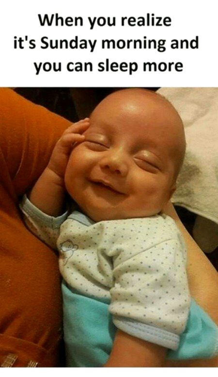 Memes & Satire image