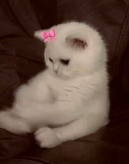 Beautiful Nature image