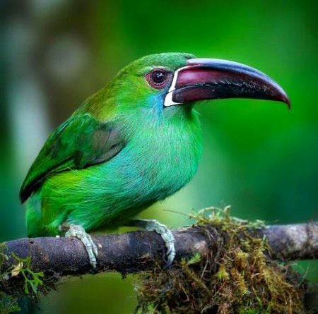 Beautiful Nature image
