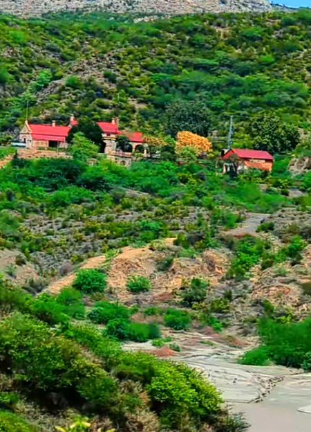 Beautiful Nature image