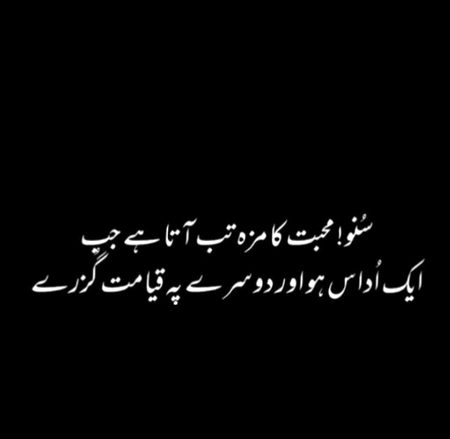 Suno....🤐
