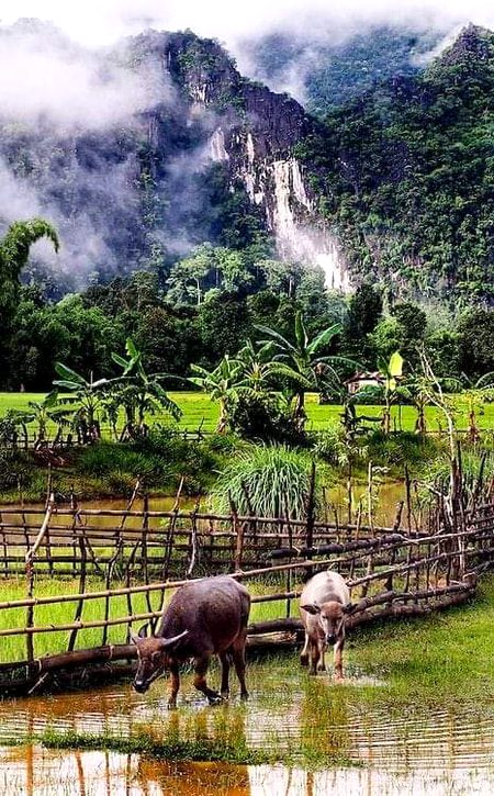 Beautiful Nature image