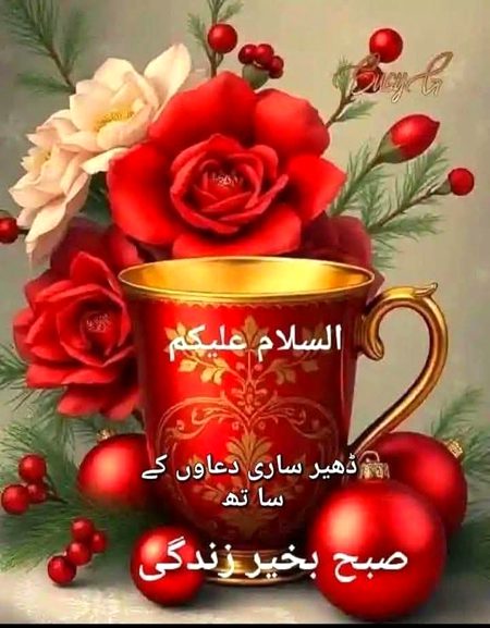 Tamam dostun ko suba ka salam