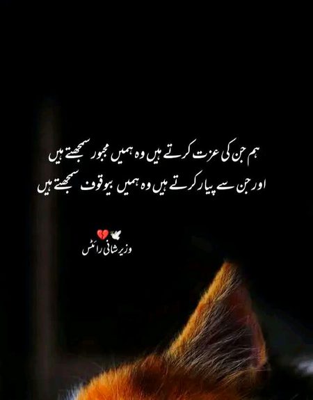 بالکل درست 😔😏