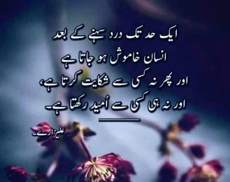 Hum zndgi k us dor se guzr rhy hn...
John apny tu mil jty hn.apna on nzr nh ata