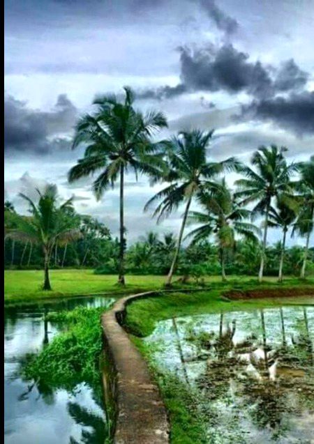 Beautiful Nature image