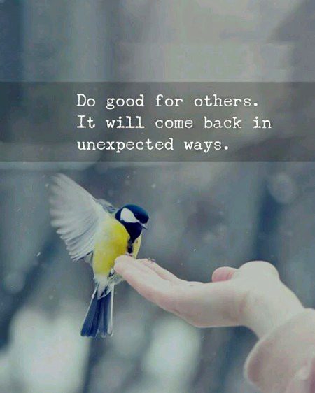 Life Advice image
