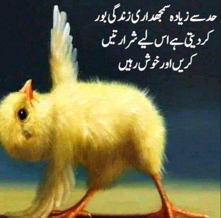 Life Advice image