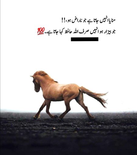 Bilkul right....